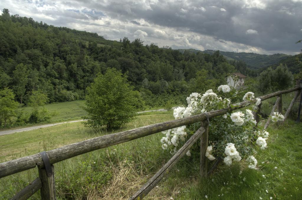 B&B Il Sole Delle Rive Sinio Eksteriør bilde